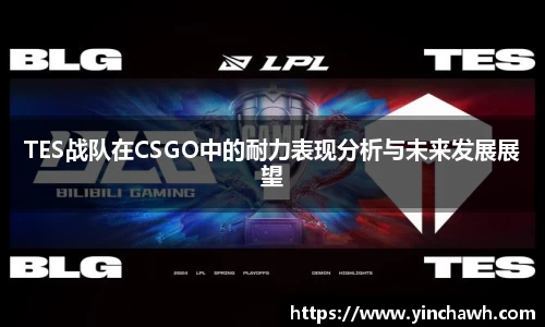 TES战队在CSGO中的耐力表现分析与未来发展展望