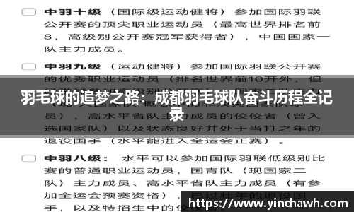 羽毛球的追梦之路：成都羽毛球队奋斗历程全记录