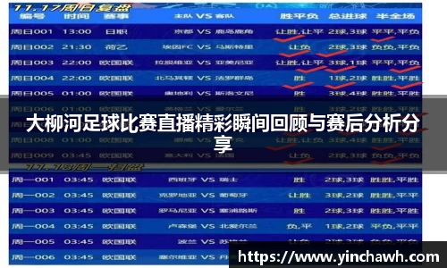 大柳河足球比赛直播精彩瞬间回顾与赛后分析分享