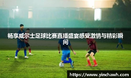 畅享威尔士足球比赛直播盛宴感受激情与精彩瞬间